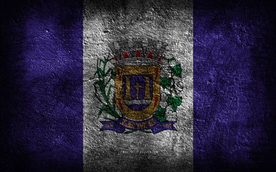 4k, Leme flag, Brazilian cities, stone texture, Flag of Leme, stone background, Day of Leme, grunge art, Brazilian national symbols, Leme, Brazil
