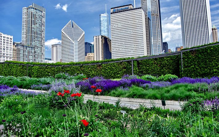 Chicago, parque, edificios, América, estados UNIDOS