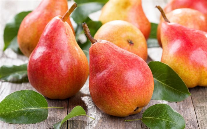 päron, närbild, sommarens frukter, pyrus, färska frukter, mogna frukter, bild med päron, frukter