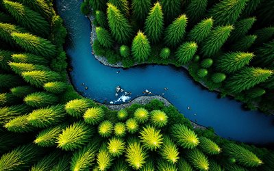 منظر الغابة من الأعلى, 4k, النهر عبر الغابة, عرض من فوق, غابة الصنوبر, منظر النهر من الأعلى, نهر جميل, غابة