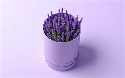 caja morada con lavanda, 4k, fondo morado, flores de primavera, lavanda, primavera, regalo floral, ramo de lavanda
