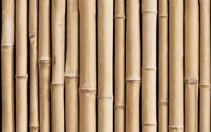bambusstöcke, 4k, bambustexturen, vektortexturen, brauner bambus, natürliche texturen, bambusstiele, bambushintergründe, bambus