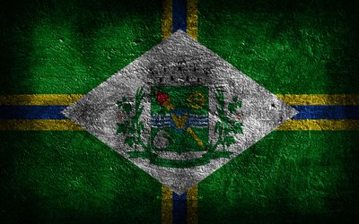 4k, Paulinia flag, Brazilian cities, stone texture, Flag of Paulinia, stone background, Day of Paulinia, grunge art, Brazilian national symbols, Paulinia, Brazil