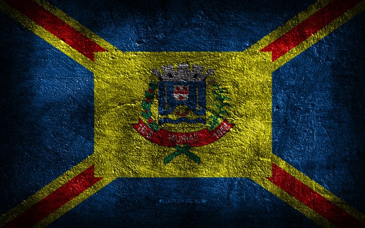 4k, la bandera de muriae, las ciudades brasileñas, la piedra de textura, la piedra de fondo, el día de muriae, el arte del grunge, los símbolos nacionales de brasil, muriae, brasil