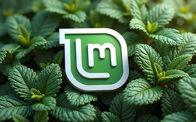 3d linux mint  logo, 4k, linux mint, 3d  grüne minzblätter, linux mint emblem, linux mint  logo, kreative naturkunst, linux