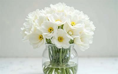 eustoma blanco dentro de frasco de vidrio transparente, 4k, bouquet of white eustoma, antecedentes con eustoma blanco, flores blancas, eustoma, eustoma blanco
