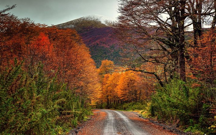estrada, paisagem, outono, árvores, colorido, estrada de terra, topo, floresta, montanha, chile, pico nevado, arbustos