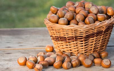 hazelnut, wooden table, basket, walnut
