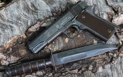 the m1911a1 pistol, the surface, weapons