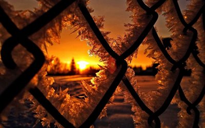 solnedgång, vinter, frost, frusen, mesh