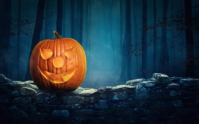 pumpkin, night, forest, Halloween