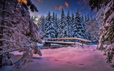 winterwald, schneebedeckte bäume, abend, sonnenuntergang, schnee, fluss, holzbrücke, winterlandschaft, schnee auf ästen