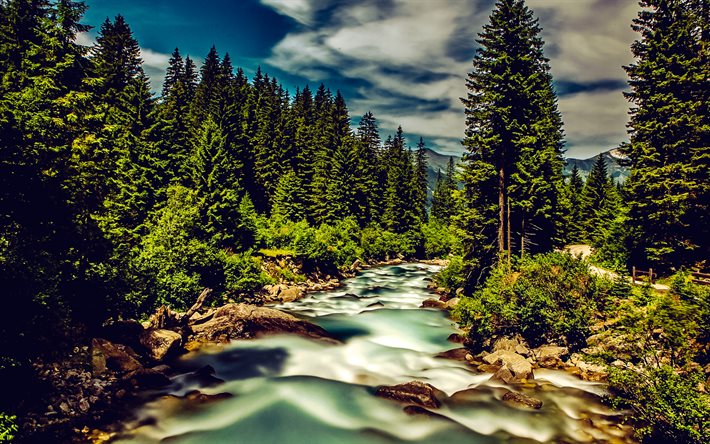 krimmler ache  joki, hdr, metsä, vuoret, itävaltalaisia ​​maamerkkejä, itävalta, alpit, euroopassa, kaunis luonto