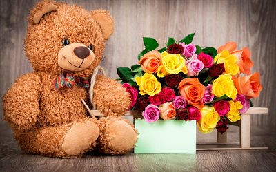 teddybär, stofftier, bär, geschenk, strauß rosen, rosen, bunte rosen