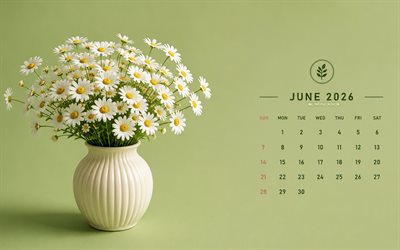 June 2026 Calendar, 4k, green background, bouquet of daisies, 2026 June Calendar, bouquet of daisies in a vase, June, 2026 calendars, June Calendar 2026, summer flowers, daisies