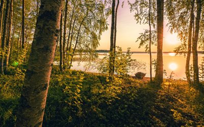 بحيرة سومانين, 4k, غابة, طبيعة جميلة, غروب الشمس, لابلاند, فنلندا, أوروبا, الطبيعة الفنلندية