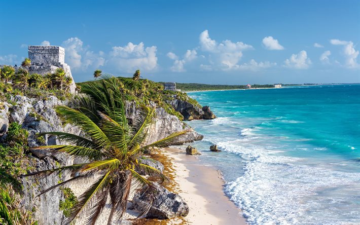 tulum, karayip denizi, sahil, plaj, palmiye ağaçları, karayip sahili, deniz manzarası, dalgalar, quintana roo, meksika
