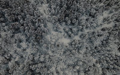 aerial view, winter, forest, snowfall, snowdrifts, beautiful nature, snow covered trees