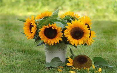 sunflowers, green grass, wild flowers, a bouquet of sunflowers, flower decoration, sunflowers in a small bucket