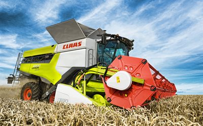 CLAAS lexion 6900, wheat harvesting, harvester, wheat field, crop concepts, Lexion 6900, harvester on the field, CLAAS