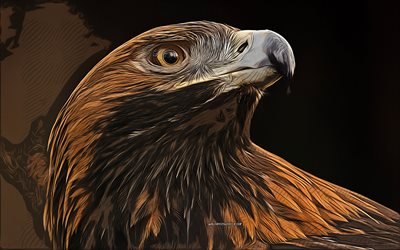 4k, Golden eagle, vector art, birds of prey, eagle, Golden eagle drawings, bird drawings, Accipitridae