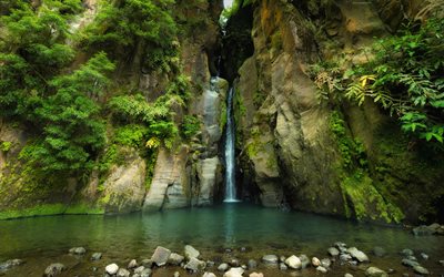 cascada entre rocas, montañas, río de montaña, cascadas, rocas, helecho, hermosas cascadas, paisaje de montaña
