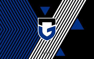 Gamba Osaka logo, 4k, Japanese football team, blue black lines background, Gamba Osaka, J1 League, Japan, line art, Gamba Osaka emblem, football