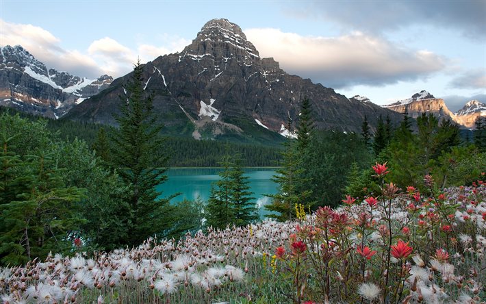 mountains, nature, trees, summer, the slope, flowers, the lake