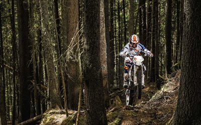 2015, foresta, crossbike