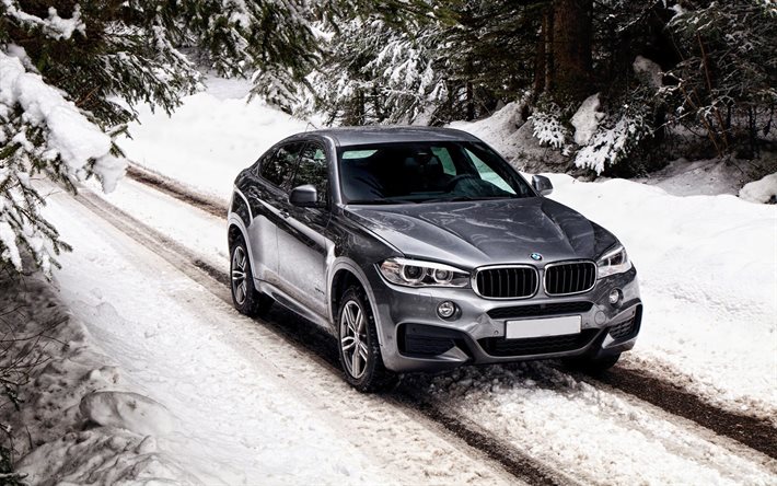 xdrive, sport package, bmw, forest, winter
