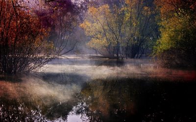 croazia, autunno, acqua, riflessione, alberi, arbusti, colorato, foresta, nebbia, lago, natura, paesaggio