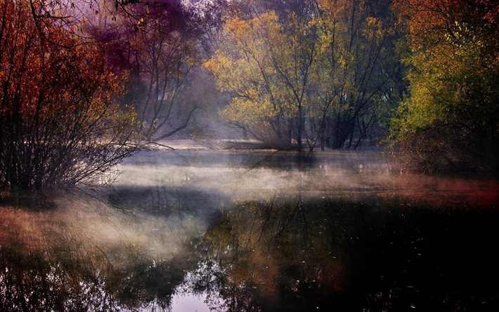 كرواتيا, الخريف, الماء, انعكاس, الشجيرات, الأشجار, الملونة, الغابات, الضباب, البحيرة, تقع, بحيرة, الطبيعة, المناظر الطبيعية