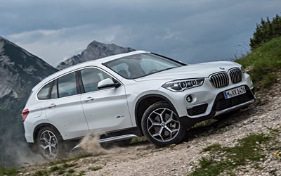 off-road -, crossover -, xline, xdrive25d, bmw, 2016, natur, weiß