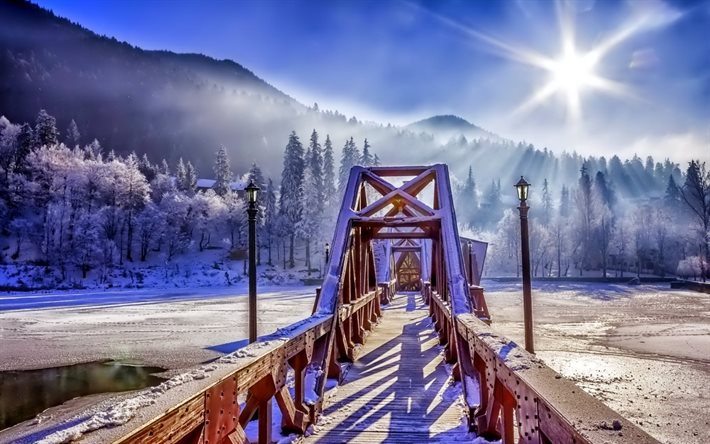 snow, winter, the sun, nature, the bridge, bridge, lantern