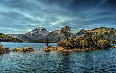 the bushes, the lake, top, processing, water, island, mountains, snow, argentina