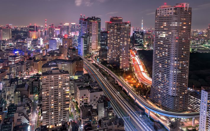 night, tokyo, skyline, the city, lights, skyscrapers, buildings, japan