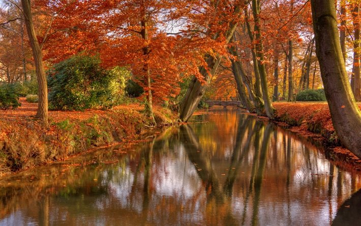 la reflexión, el puente, arbustos, parque, paisaje, naturaleza, otoño, árboles, agua