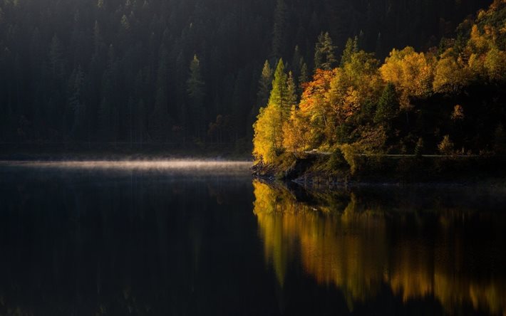 水, 自然, 木, 秋, の風景