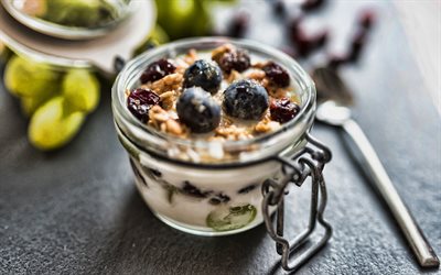 yogurt with blueberries and muesli, 4k, dairy products, breakfast, yogurt, healthy food, yogurt concepts