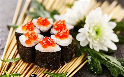 maki, 4k, macro, nourriture asiatique, sushi, rouleaux, fast food, nourriture japonaise, photo avec des sushis