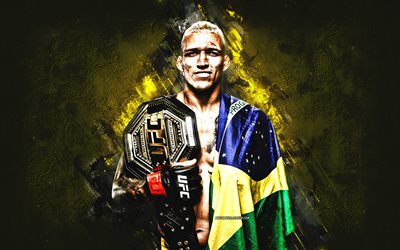 Charles Oliveira, UFC, brazilian fighter, yellow stone background, Ultimate Fighting Championship, USA