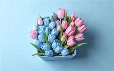 bouquet of blue and white tulips, blue background, spring flowers, spring decoration, tulips, tulip bouquet, blue tulips, pink tulips