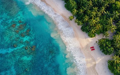 Tropical island, view from above, beach, palm trees, ocean, island view from above, summer travel, vacation, sun loungers on the beach, summer