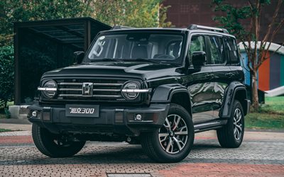 WEY Tank 300, 4k, SUVs, 2021 cars, CN-spec, 2021 Tank 300, chinise cars, Great Wall Motors, WEY