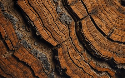4k, texture in legno marrone, macro, onde 3d woodem, legno duro, crepe in legno, trame di legno, sfondo di legno marrone, consistenza in legno ondulato, trame naturali