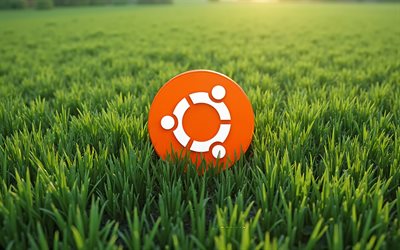 Ubuntu logo, green grass, Ubuntu, Linux, green grass background, Ubuntu orange 3D logo, Ubuntu emblem, Ubuntu 3D logo