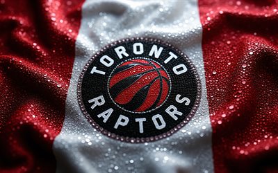 Toronto Raptors diamonds logo, 4k, red white gems background, NBA, diamonds art, Toronto Raptors emblem, USA, Toronto Raptors, basketball, Toronto Raptors logo, Canada