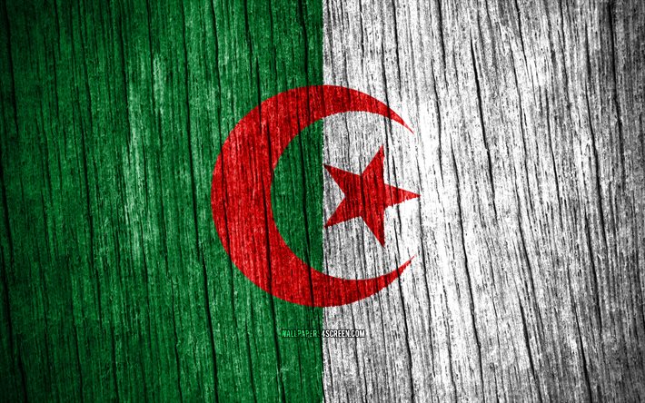 4K, Flag of Algeria, Day of Algeria, Africa, wooden texture flags, Algerian flag, Algerian national symbols, African countries, Algeria flag, Algeria