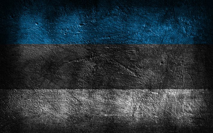 4k, エストニアの旗, 石の質感, 石の背景, グランジアート, エストニアの国のシンボル, エストニア