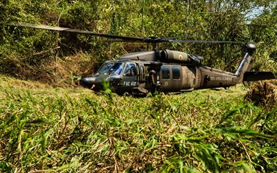 sikorsky uh-60 black hawk, 4k, colombianska flygvapnet, colombianska armén, militär transporthelikopter, sikorsky aircraft, djungel, uh-60 black hawk, sikorsky, flygplan